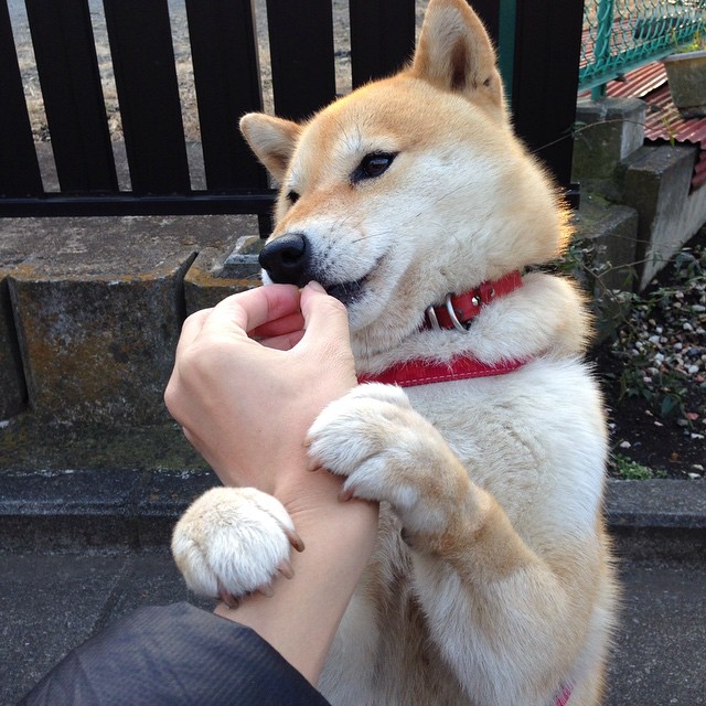 年度焦点之战之夜，欧文如手术刀般拆解防线