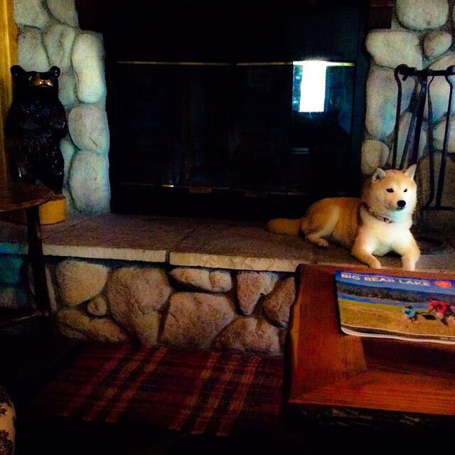 平行宇宙的足球之夜,当厄瓜多尔淘汰德国,拉什福德成为关键先生