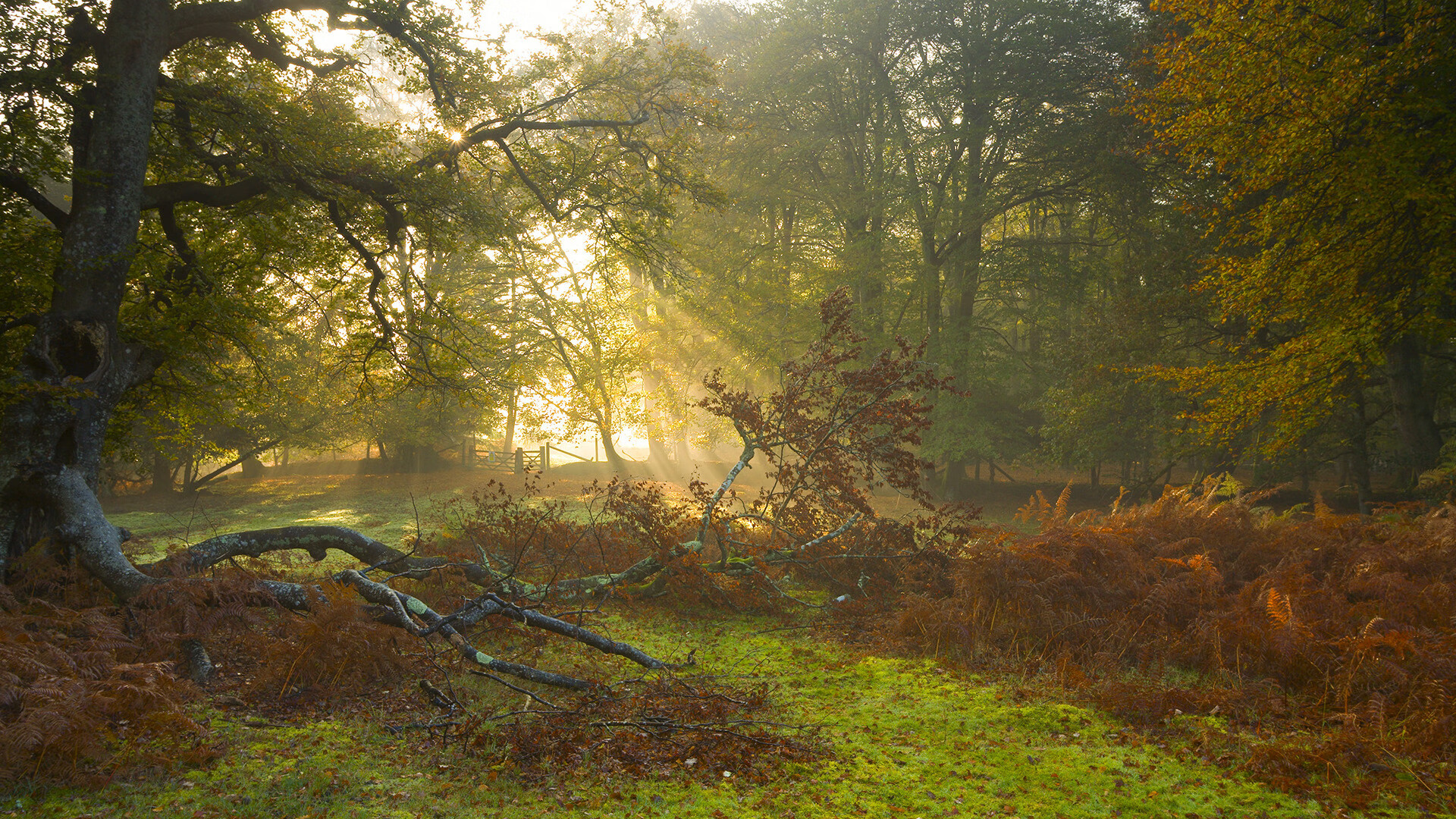 跨界争霸夜，步行者力克吉林，马克西里程碑铸就战神传说