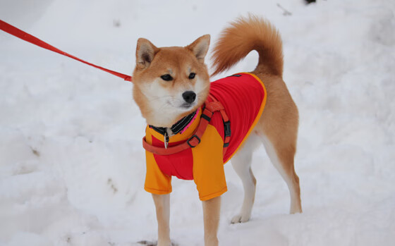 抢七之夜，末节之王，德布劳内的传奇接管