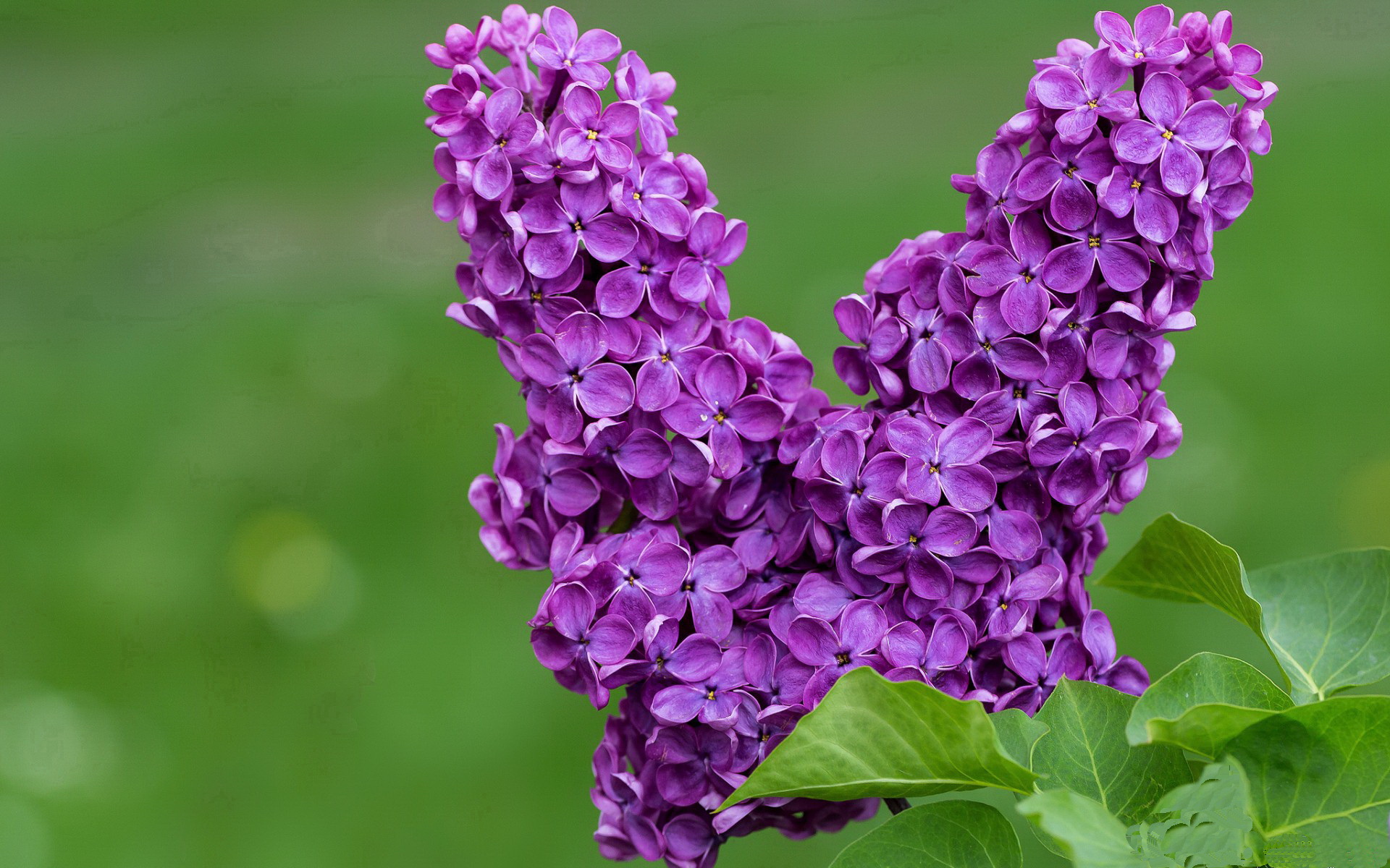 横跨地球的较量，浙江队对抗魔术队，却被伦纳德提前终结悬念