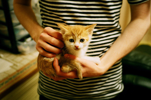 双城记，绿茵场与硬木地板的双重变奏