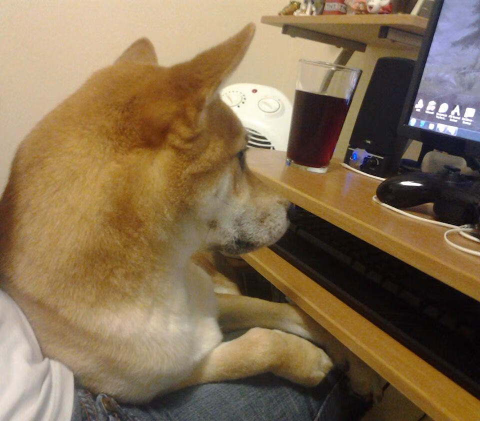 沧海横流鹰翼为笔，拉梅洛致命一击击碎好莱坞星光