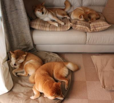 一秒跨越两万里，当雷霆之威遇上天山风暴，浓眉定乾坤的唯一性瞬间