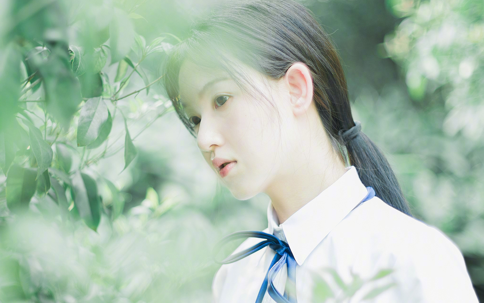 东方智慧VS北美锋刃，当快船战术遇上广东体系