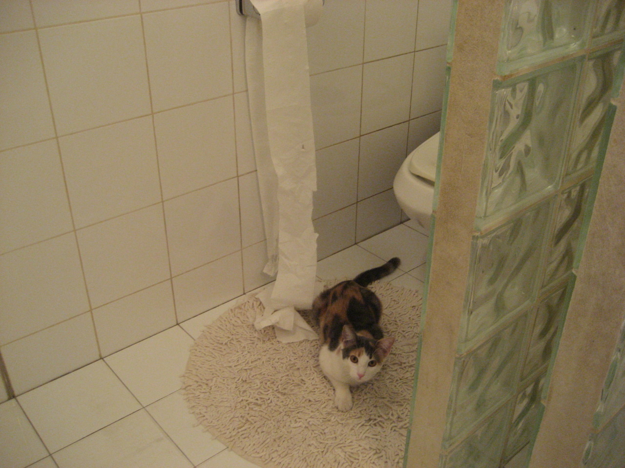 欧冠决赛最后十四秒,贝蒂斯屠神运动始末