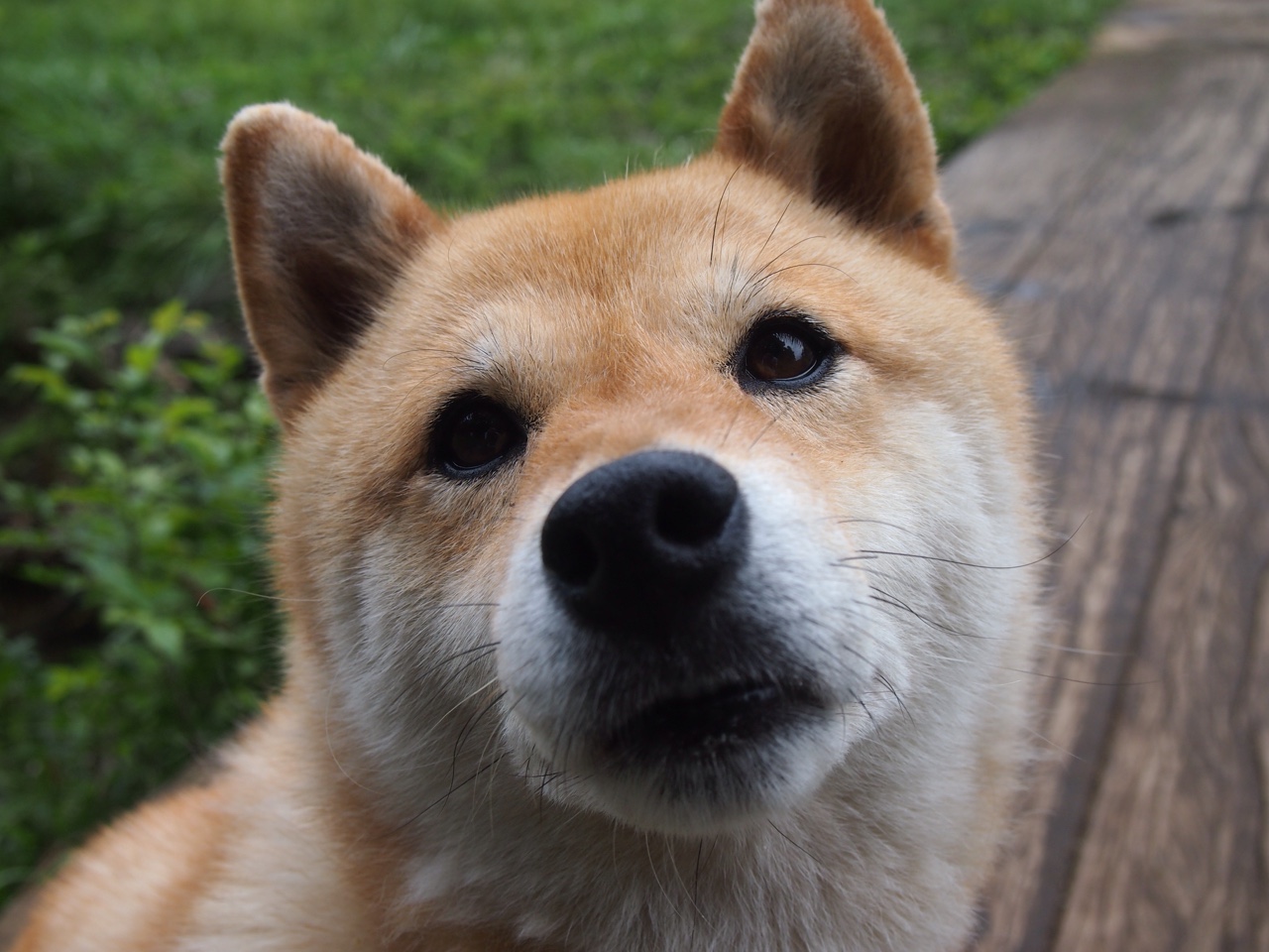 史诗交锋,爵士的钢铁锁链与库里的弑神时刻