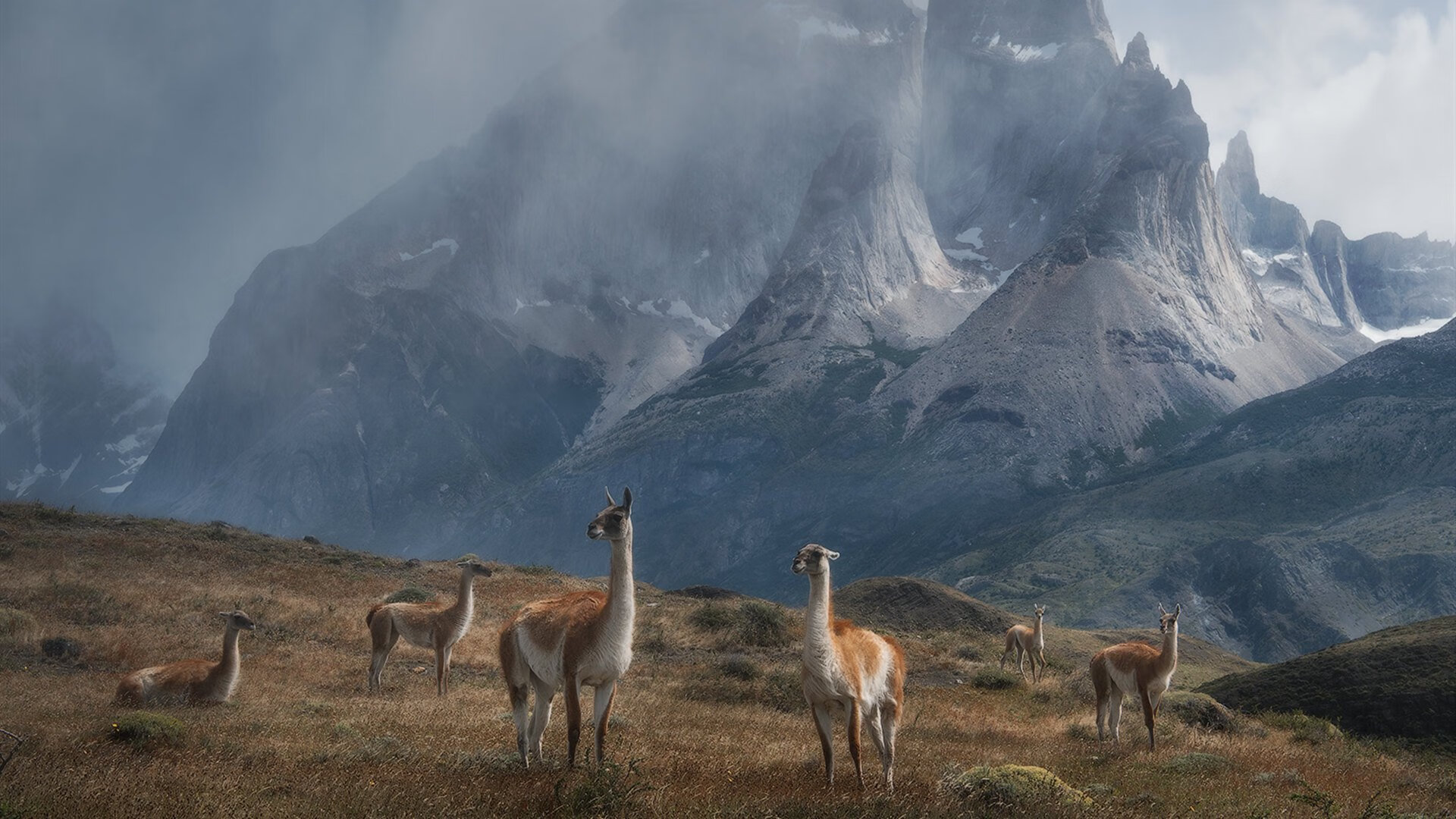 唯一解法,若日尼奥,马竞制霸塞维利亚的蓝色灯塔