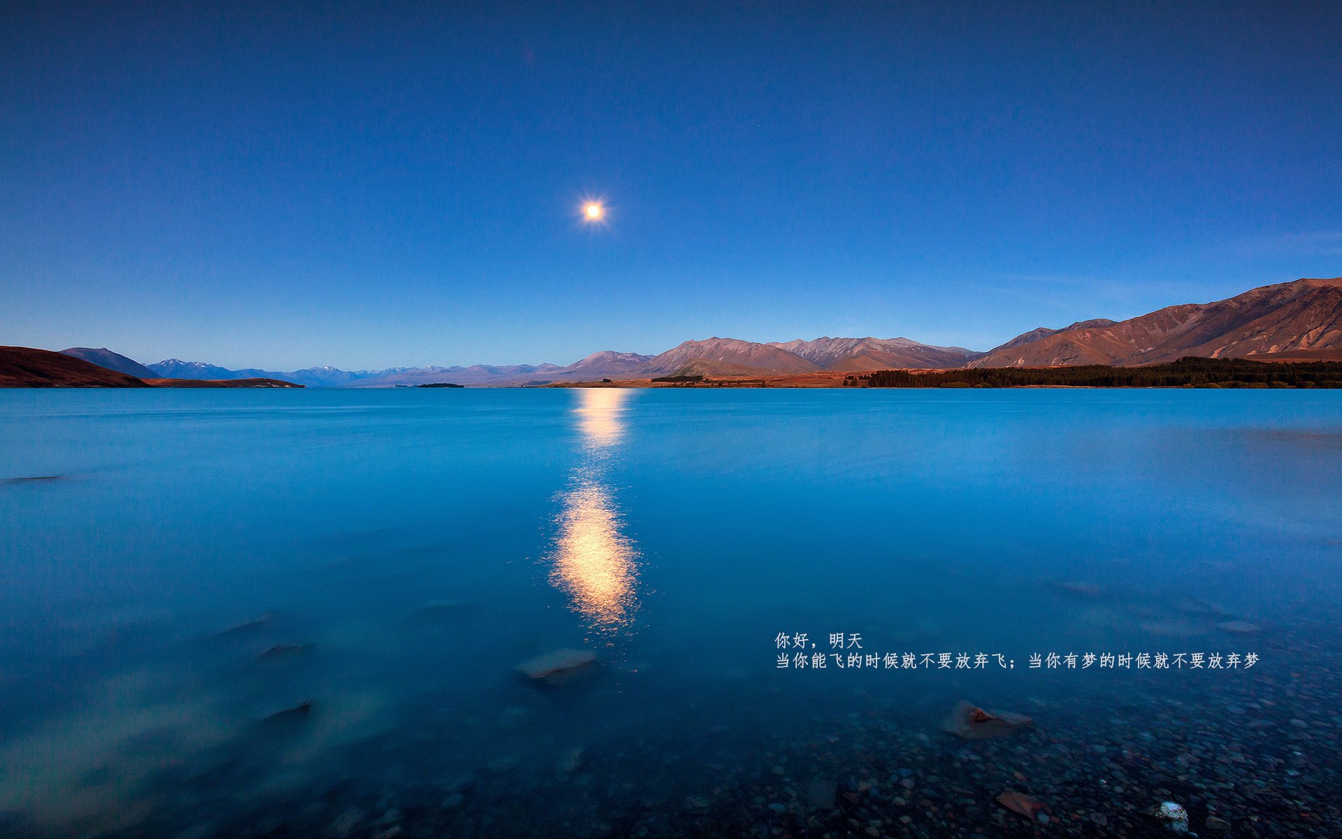 静默的绞肉机,伦纳德如何将季后赛之夜炼成个人刑场