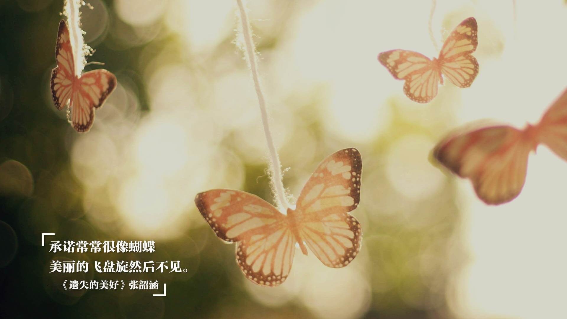 冰封北境！拉文连珠炮击溃森林狼，76人悬崖边守住东部王座