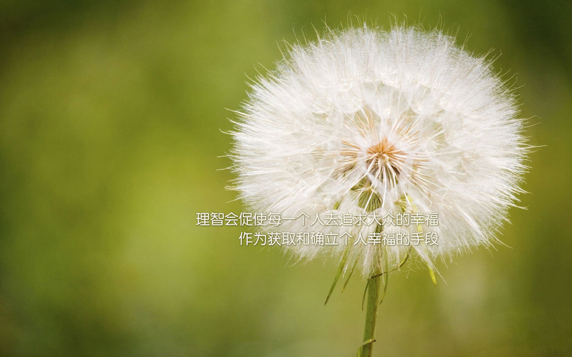 齿轮与镰刀的碰撞,萨城精密机械如何收割步行者狂奔之路?