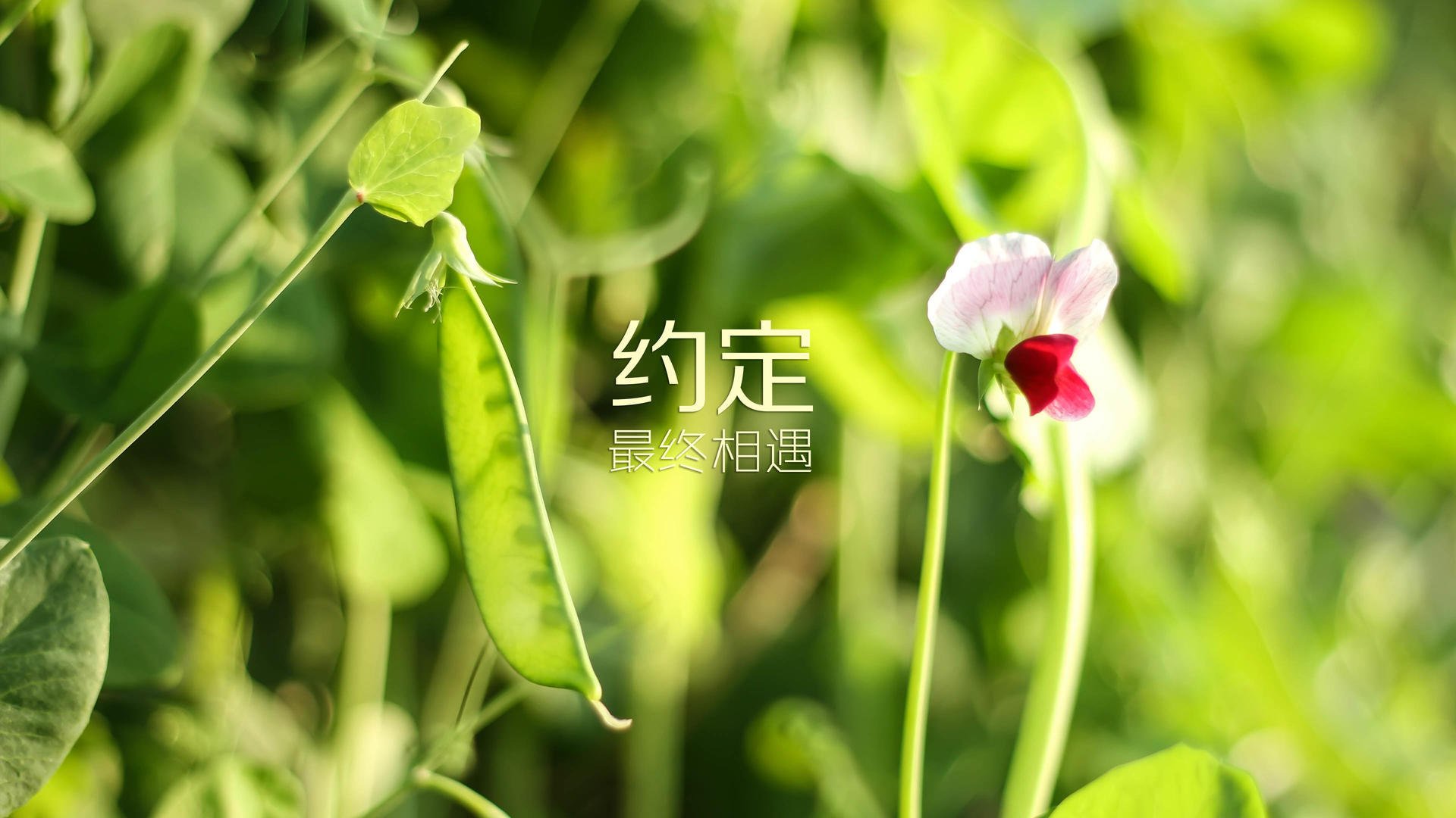 首先，扩展思维，撰写文章标题